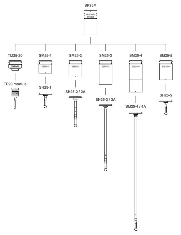 SP25M family tree