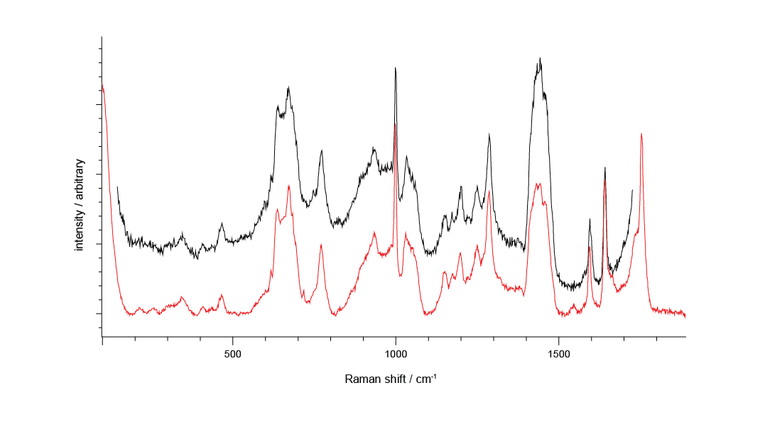 Identifying particulates and contaminants with Raman spectroscopy