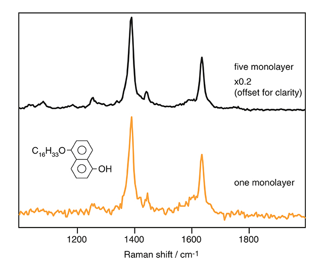 UV resonance Raman spectra of molecular monolayers