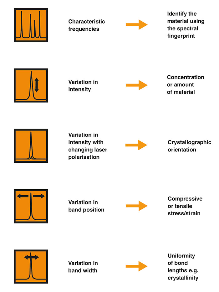 Key features of a Raman spectrum