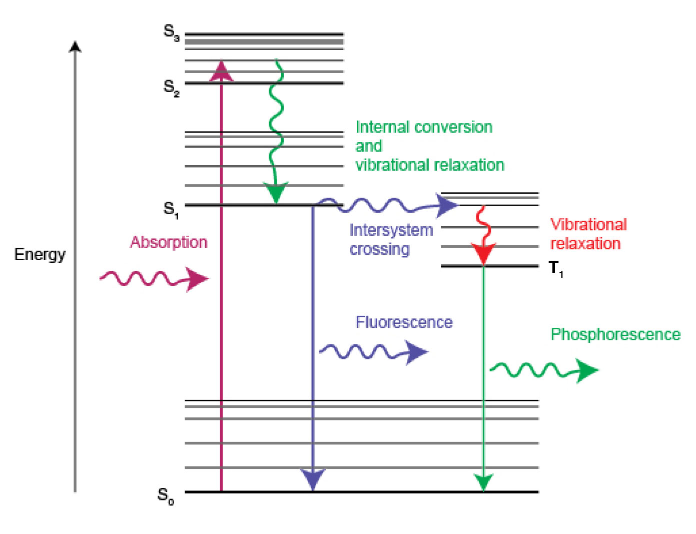 Photoluminescence spectroscopy and fluorescence explained