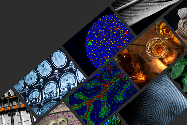 Feature article:  Feature article:  Renishaw Raman spectroscopy articles and further reading image