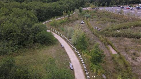 Wetland area and perimeter walk at Miskin