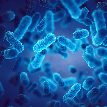 Bacteria banner