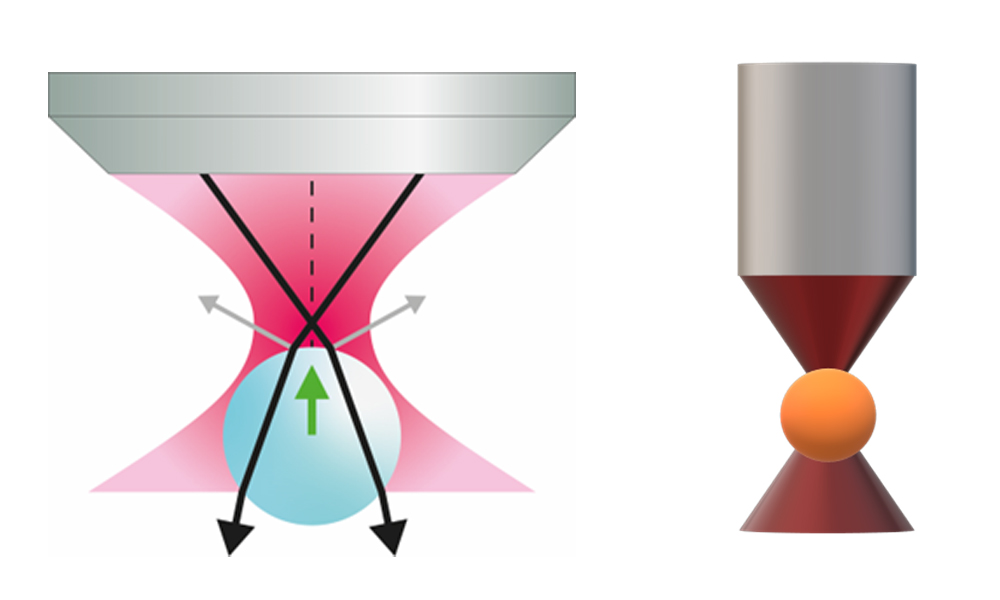 2 diagrams explaining optical trapping