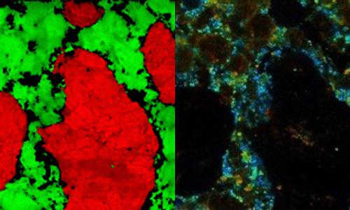 Fluorescence lifetime imaging microscopy (FLIM)