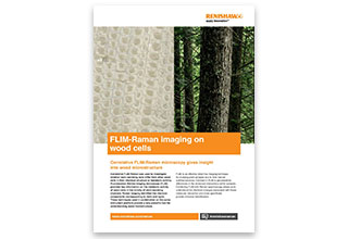 AN260 FLIM Raman imaging on wood cells thumbnail