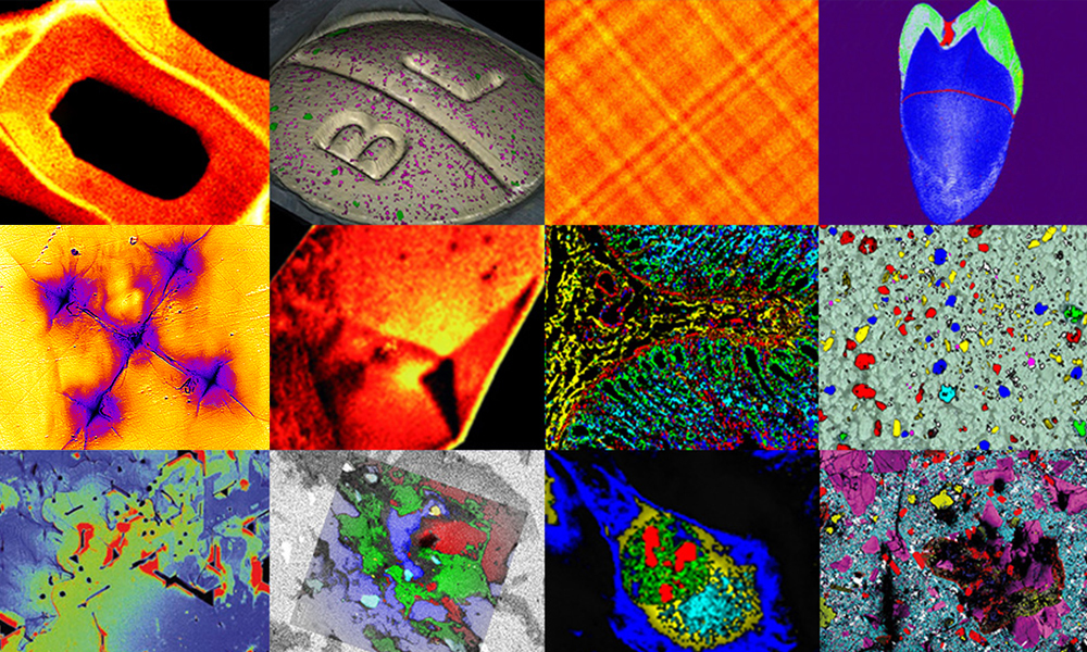 Raman imaging application montage