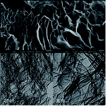 Highly networked surface morphology and porosity of exfGO-D samples