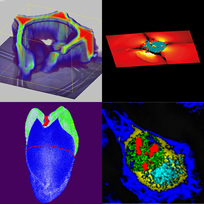 Raman imaging application montage