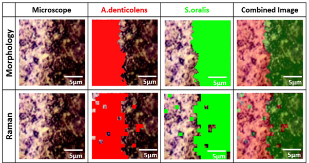 Raman images of biofilms