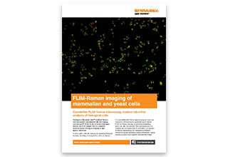 AN264 FLIM Raman imaging of mammalian and yeast cells thumbnail