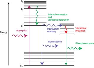 Energy diagram showing absorption of light and the processes involved in the emission of light as fluorescence and phosphorescence.