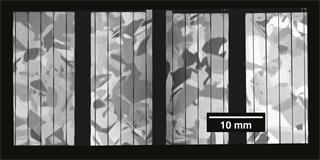 Crystal domains in a polycrystalline photovoltaic cell